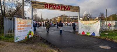 На сельхозярмарках в Петрозаводске и Костомукше торговали сомнительными семенами - stolicaonego.ru - Россия - Петрозаводск - республика Карелия