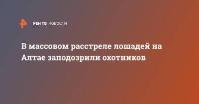 В массовом расстреле лошадей на Алтае заподозрили охотников - ren.tv - Алтайский край - респ. Алтай