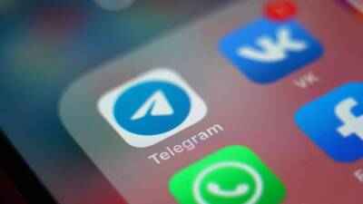 Нэнси Фезер - В Германии оценили возможность блокировки Telegram в стране - iz.ru - Израиль - Германия - земля Рейнланд-Пфальц
