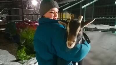 Цирковых зверей скончавшейся воронежской дрессировщицы приютили в Санкт-Петербурге - gorcom36.ru - Санкт-Петербург - Воронеж - Скончался