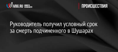 Руководитель получил условный срок за смерть подчиненного в Шушарах - ivbg.ru - Украина - Санкт-Петербург - Санкт-Петербург - Скончался