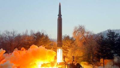 Дмитрий Корнев - Военный эксперт заявил о высоком уровне ракетных технологий КНДР - iz.ru - Россия - Южная Корея - КНДР - Израиль - Япония - Корея