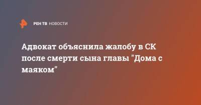 Адвокат объяснила жалобу в СК после смерти сына главы "Дома с маяком" - ren.tv - Москва - Москва