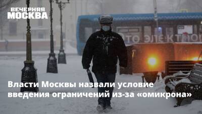 Владимир Ефимов - Александр Гинцбург - Власти Москвы назвали условие введения ограничений из-за «омикрона» - vm.ru - Москва - Москва