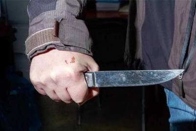 Нетрезвый 65-летний житель Вельска попытался выгнать гостя с помощью ножа - arh.mk.ru - район Вельский - Вельск