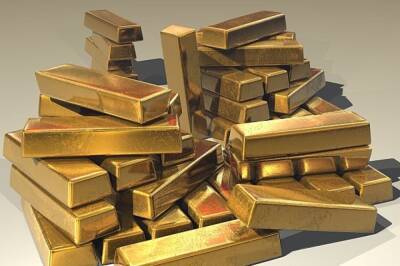 Сергей Макаров - Федор Достоевский - Финансист рассказал, когда лучше покупать золото вместо долларов - aif.ru - Санкт-Петербург