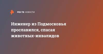 Инженер из Подмосковья прославился, спасая животных-инвалидов - ren.tv - Московская обл. - Московская область