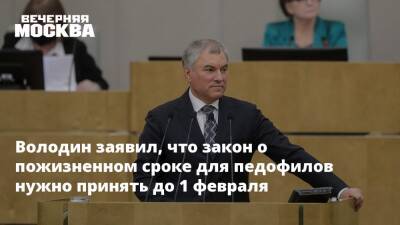 Вячеслав Володин - Александр Бастрыкин - Ирина Волынец - Володин заявил, что закон о пожизненном сроке для педофилов нужно принять до 1 февраля - vm.ru - Россия - респ. Татарстан - Кострома