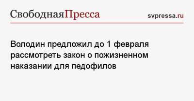 Вячеслав Володин - Ирина Волынец - Володин предложил до 1 февраля рассмотреть закон о пожизненном наказании для педофилов - svpressa.ru - Россия - США - Санкт-Петербург - респ. Татарстан - Кострома
