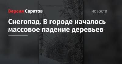 Михаил Исаев - Снегопад. В городе началось массовое падение деревьев - nversia.ru - Саратов - район Заводский, Саратов