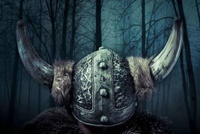 Николай II - Ученые выяснили, какие шлемы носили викинги на самом деле - spb.mk.ru - Норвегия - Дания