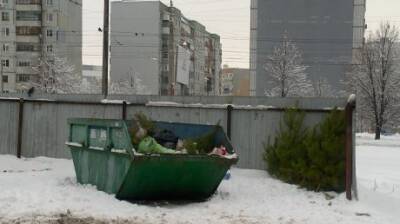 Пензенцев просят оставлять отслужившие елки у контейнеров - penzainform.ru - Пензенская обл.