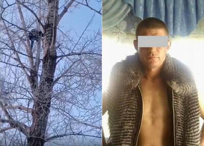 Житель Омска надругался над 15-летней падчерицей и попытался спрятаться на дереве - province.ru - Омск