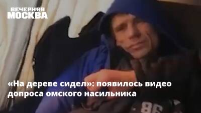 «На дереве сидел»: появилось видео допроса омского насильника - vm.ru - Омск - Омская обл.