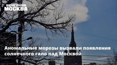 Евгений Тишковец - Аномальные морозы вызвали появления солнечного гало над Москвой - vm.ru - Москва - Московская обл. - Москва