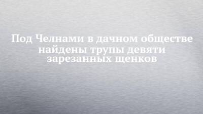 Под Челнами в дачном обществе найдены трупы девяти зарезанных щенков - chelny-izvest.ru - Набережные Челны