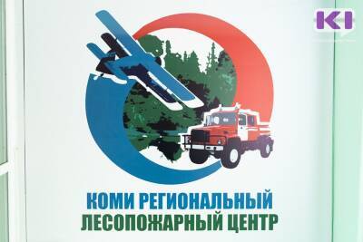 Первым делом самолеты: Коми лесопожарный центр ищет АН-2 и К-10 "Свифт" для выполнения работ - komiinform.ru - респ. Коми