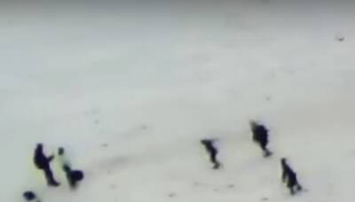 Девочка провалилась под лед в Киеве, появилось видео: "оказалась в воде" - politeka.net - Украина - Киев - Киев
