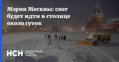 Петр Бирюков - Мэрия Москвы: снег будет идти в столице около суток - nsn.fm - Москва