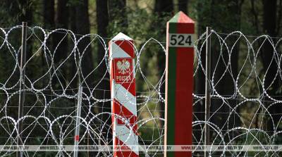 ГПК: польская "колючка" приводит к гибели зубров - belta.by - Белоруссия - Польша - Минск