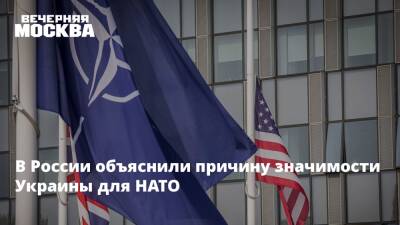 Андрей Келин - В России объяснили причину значимости Украины для НАТО - vm.ru - Москва - Россия - США - Украина - Англия