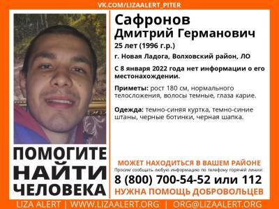 Элизабет Алерт - В Новой Ладоге без вести пропал 25-летний парень - ivbg.ru - Украина