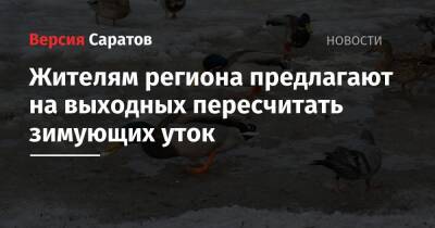 Жителям региона предлагают на выходных пересчитать зимующих уток - nversia.ru - Москва - Россия - Китай - Московская обл. - Саратовская обл. - Саратов - Индия