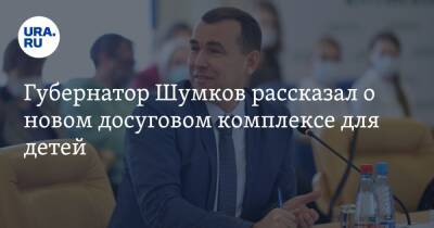 Вадим Шумков - Губернатор Шумков рассказал о новом досуговом комплексе для детей - ura.news - Курганская обл. - Курган