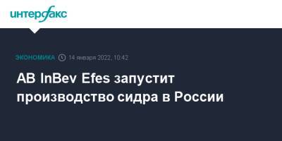 AB InBev Efes запустит производство сидра в России - interfax.ru - Москва - Россия