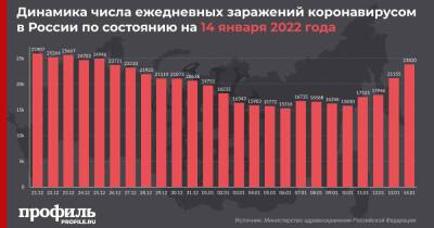 За сутки в России выявили больше 23 тысяч новых случаев COVID-19 - profile.ru - Москва - Россия - Санкт-Петербург - Московская обл.