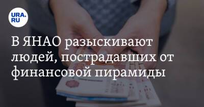 В ЯНАО разыскивают людей, пострадавших от финансовой пирамиды - ura.news - Россия - Свердловская обл. - Югра - окр. Янао - район Пуровский