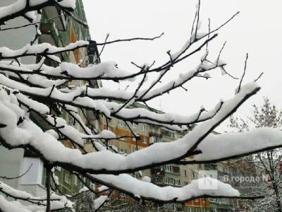 Мороз до −7°С и легкий снег ожидаются в Нижегородской области в выходные - vgoroden.ru - Нижегородская обл. - Нижний Новгород