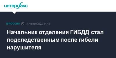 Начальник отделения ГИБДД стал подследственным после гибели нарушителя - interfax.ru - Москва - Забайкалье