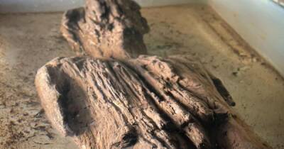С резной одеждой и прической. В Англии обнаружили необычную римскую деревянную скульптуру (фото) - focus.ua - Украина - Англия - Рим - Филиппины