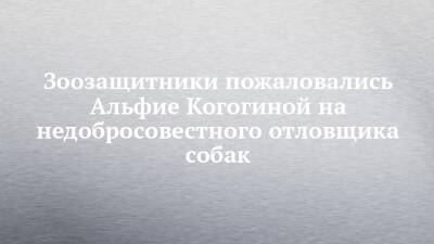 Зоозащитники пожаловались Альфие Когогиной на недобросовестного отловщика собак - chelny-izvest.ru - Россия - Набережные Челны - Ульяновская