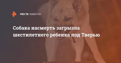 Собака насмерть загрызла шестилетнего ребенка под Тверью - ren.tv - Тверь - Улан-Удэ - Тверская обл.