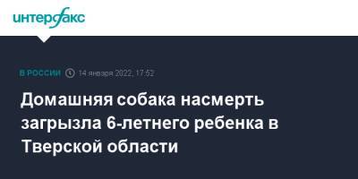 Домашняя собака насмерть загрызла 6-летнего ребенка в Тверской области - interfax.ru - Москва - Тверская обл. - район Калининский