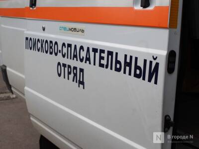 Более 400 пропавших в прошлом году нижегородцев до сих пор не найдены - vgoroden.ru - Нижегородская обл.