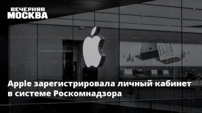 Apple зарегистрировала личный кабинет в системе Роскомнадзора - vm.ru - Россия