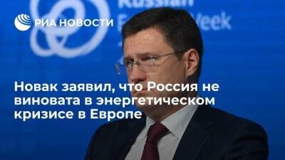 Александр Новак - Фатих Бироль - Вице-премьер Новак заявил, что Россия и "Газпром" не виноваты в энергокризисе в Европе - ria.ru - Москва - Россия - США - Катар - Европа