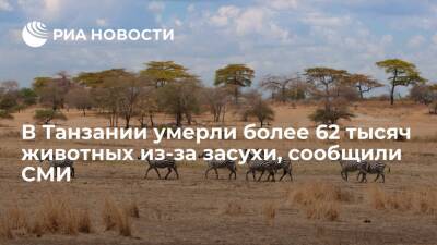 Синьхуа: на севере Танзании умерли более 62 тысяч животных из-за продолжительной засухи - ria.ru - Москва - Танзания
