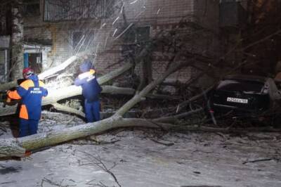 Шторм повредил 27 домов, 9 машин, снёс кран и 100 деревьев на Ставрополье - stav.aif.ru - Ставрополье - Михайловск