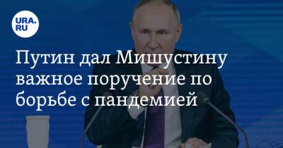 Владимир Путин - Путин дал Мишустину важное поручение по борьбе с пандемией - ura.news - Россия