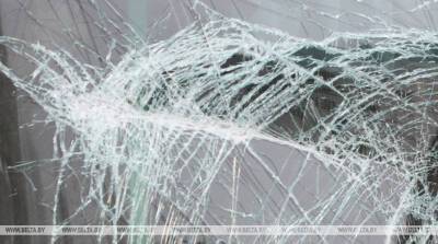 Студент из Узбекистана разбился в автоаварии в Белыничском районе - belta.by - Узбекистан - Белоруссия - Минск - район Белыничский