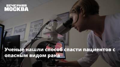 Андрей Проценко - Ученые нашли способ спасти пациентов с опасным видом рака - vm.ru - Россия - Санкт-Петербург - Геленджик