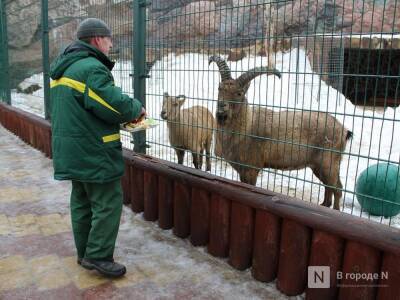 Татьяны смогут со скидкой посетить нижегородский зоопарк 25 января - vgoroden.ru