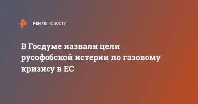 Олег Матвейчев - В Госдуме назвали цели русофобской истерии по газовому кризису в ЕС - ren.tv - Россия