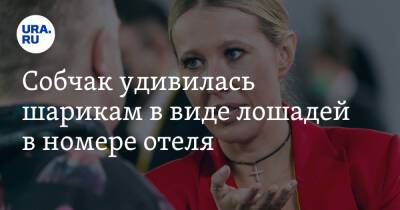 Ксения Собчак - Елена Блиновская - Собчак удивилась шарикам в виде лошадей в номере отеля. «На что они намекают?» - ura.news