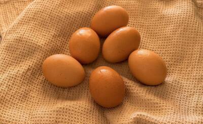 Sohu (Китай): если сварить яйцо неправильно, оно превратится в яд? Очень многие люди не знают об этом! - inosmi.ru - Китай