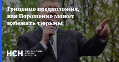 Петр Порошенко - Анатолий Гриценко - Гриценко предположил, как Порошенко может избежать тюрьмы - nsn.fm - Украина